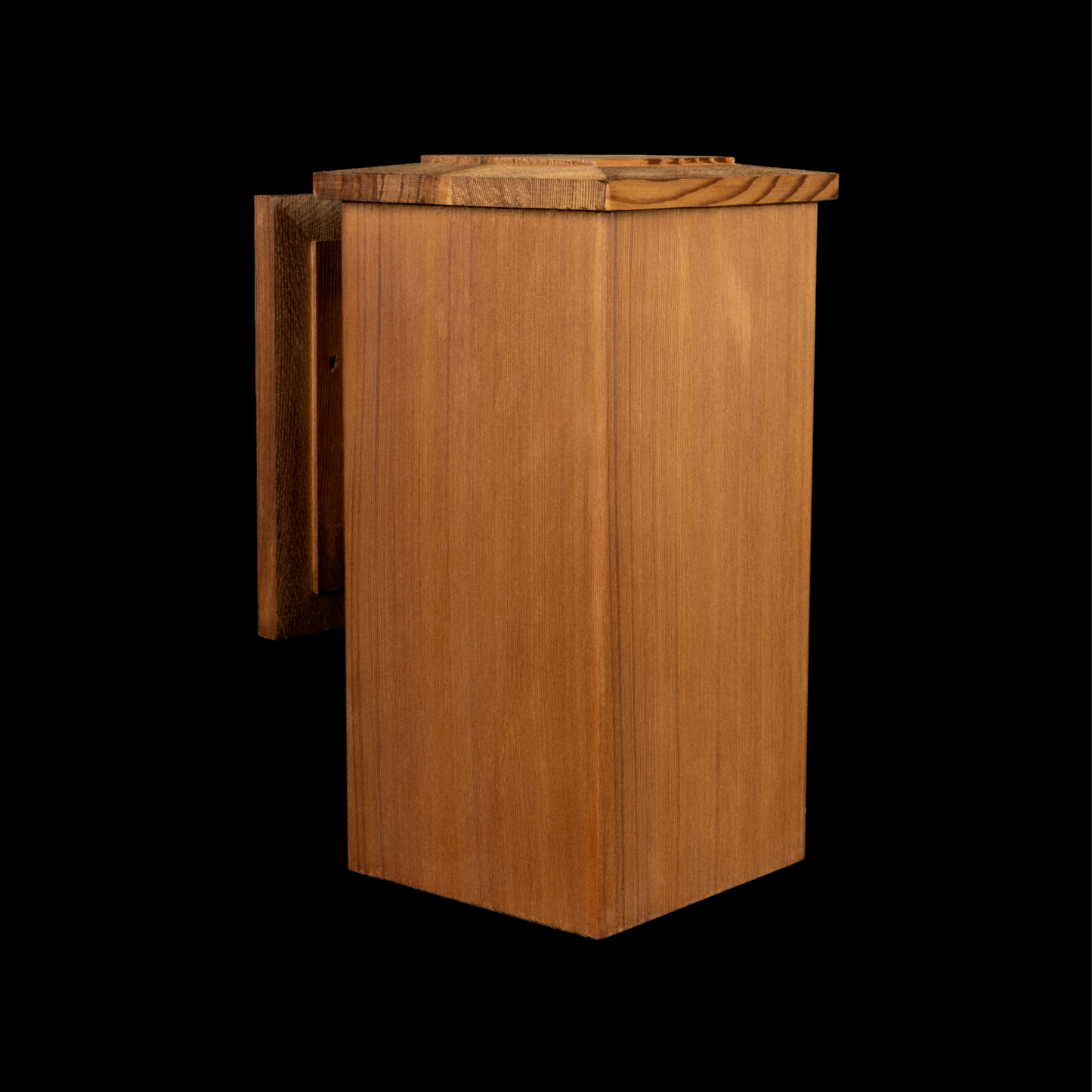 Spirit Lake: 258-11" Sconce