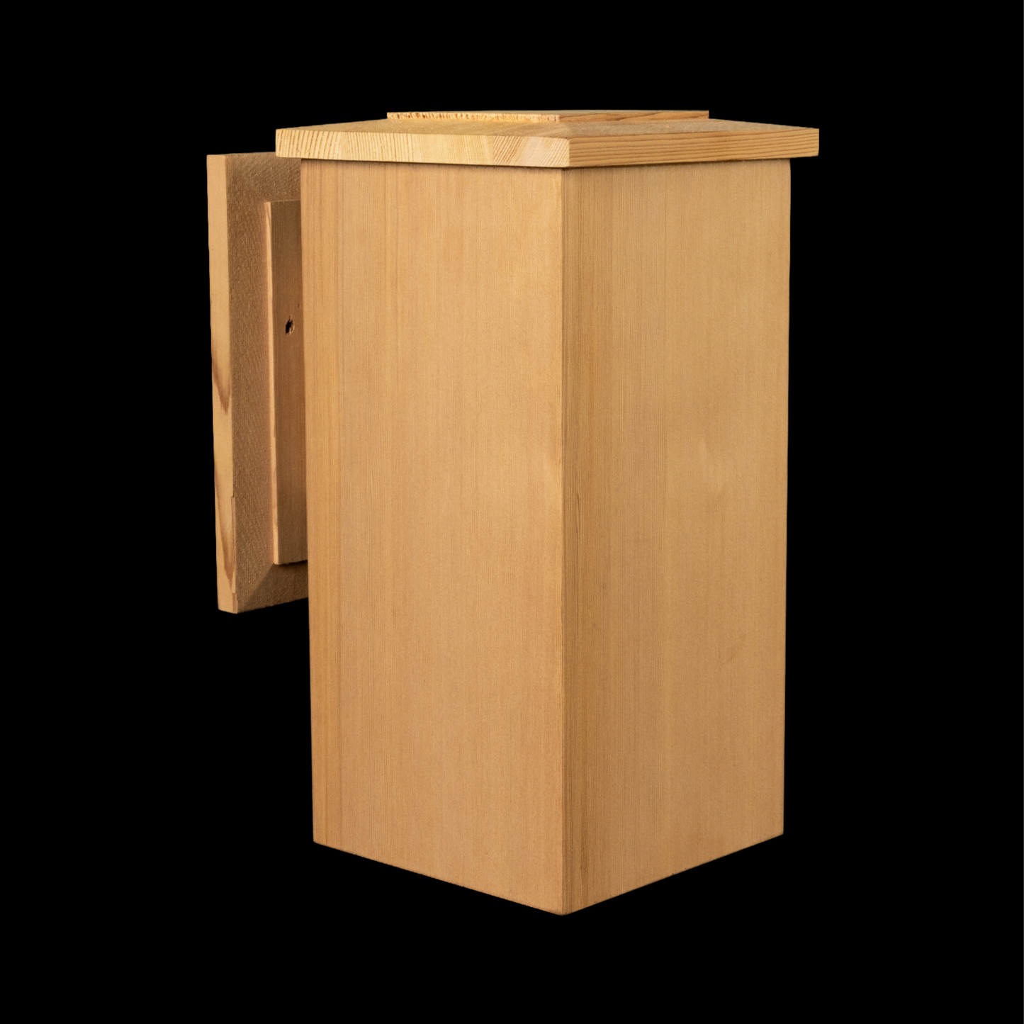 Spirit Lake: 258-11" Sconce